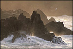 Photo: Jagged coastal rocks and seagull at sunrise, Stillwater Cove Regional Park, Sonoma Coast, California