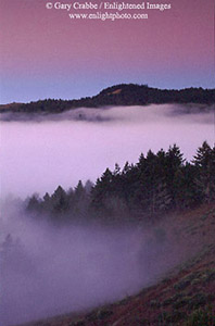 Pre-dawn light over fog bank on the shoulder of Mount Tamalpais,  Mount Tamalpais State Park, Marin County, California