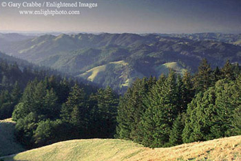 Rolling hills of Marin County, as seen from Bolinas Ridge, near Mount Tamalpais, Marin County, California