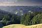 Rolling hills of Marin County, as seen from Bolinas Ridge, near Mount Tamalpais, Marin County, California