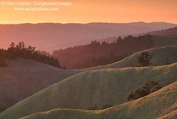 Sunset light on rolling green hills in spring along Bolinas Ridge, near Mount Tamalpais, Golden Gate National Recreation Area, Marin County, California