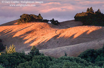 Sunrise light on hills above coastal fog bank, near Mount Tamalpais State Park, Marin County, California