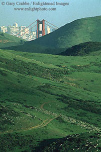 Green hills of Tennessee Valley in spring, Golden Gate National Recreation Area, Marin County, California