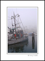Fishing boat docked in fog, Santa Barbara Harbor, California