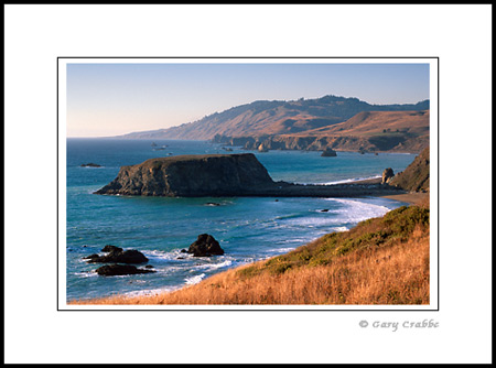 Overlloking Goat Rock State Beach, Sonoma County Coast, California