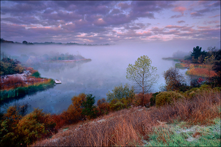 picture: Early Morning Solitude, Lafayette Resevoir, 
Lafayette, Contra Costa County, California