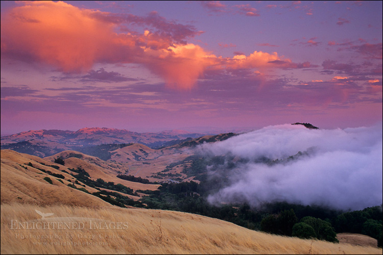 picture: Fog rolling in over the Oakland Hills at sunset from SF Bay, near Orinda, Contra Costa County, California