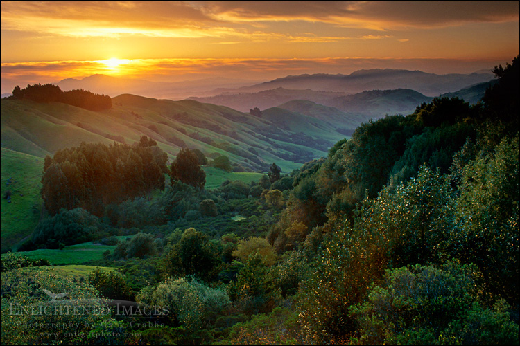 Photo: Sunrise over green hills in spring, near Orinda, California