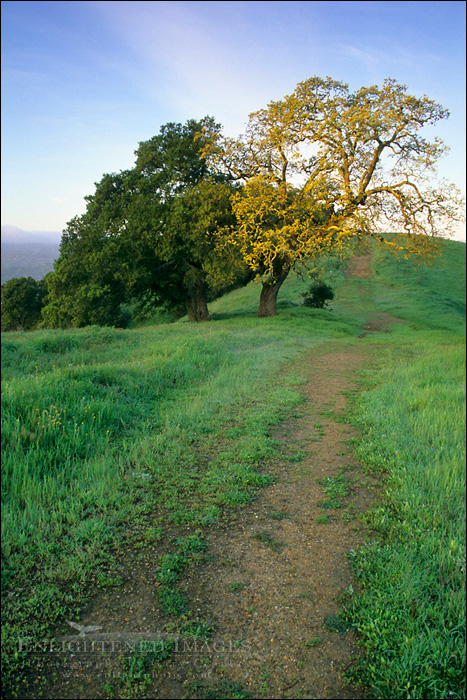 Photo: Green hills and hiking trail in spring on Lafayette Ridge, Lafayette, California