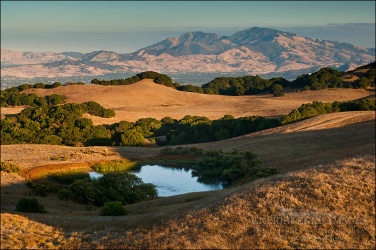 Photo: Mount Diablo seen from Briones Regional Park, Contra Costa County, California