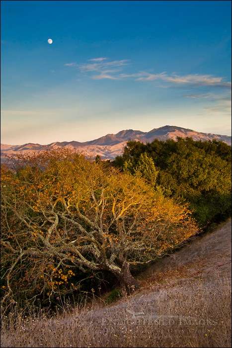 Photo: Moon over Mount Diablo at sunset as seen from Briones Regional Park, Contra Costa County, California