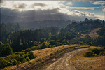 picture: Rim Trail, Lafayette Reservoir, Lafayette, Contra Costa County, California