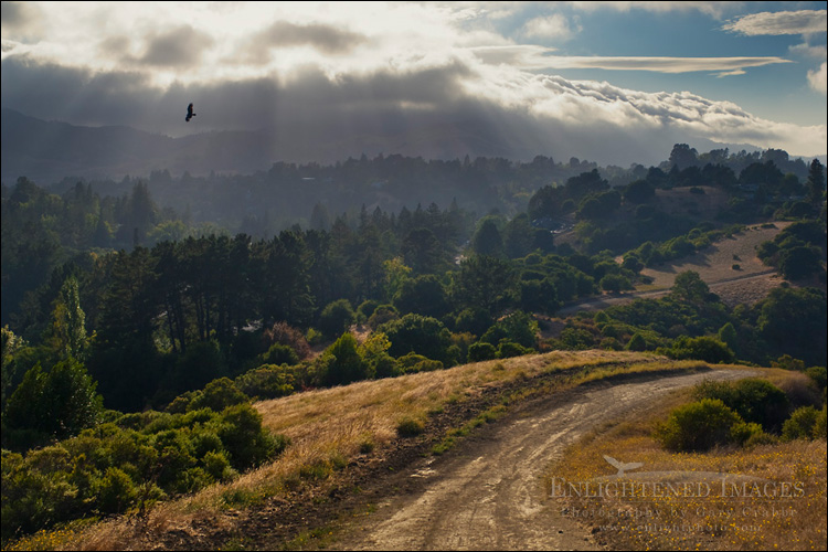 Photo: Rim Trail, Lafayette Reservoir, Lafayette, California