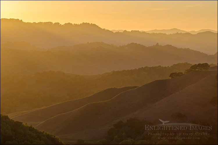 Photo: Sunset light over rolling hills, Briones Regional Park, Contra Costa County, California