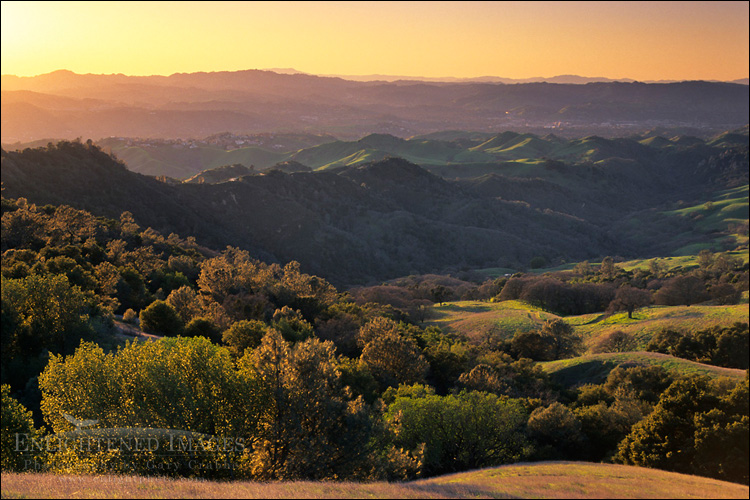 Photo: Sunset light on oak covered hillsides, Mount Diablo State Park ,Contra Costa County, California