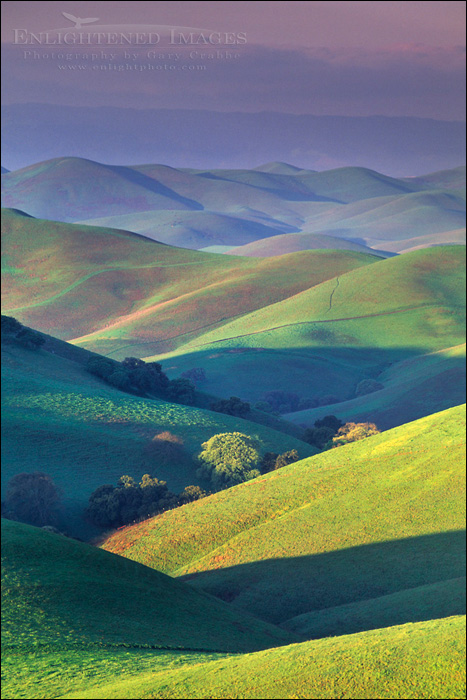 Photo: First light of morning on green hills in spring, Tassajara Region, Contra Costa County, California