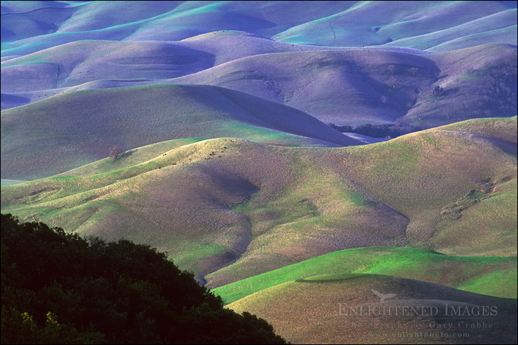 Photo: Rolling hills of grass pasturelands in spring, Tassajara Region, Contra Costa County, California