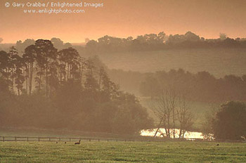 Sunrise in the Cotswolds Region, Oxfordshire, England