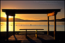 Picture: Picnic area at sunrise, Clear Lake State Park, California
