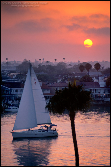 Picture: Catalina Sailboat at sunset, Newport Beach, California