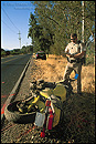Picture: California Highway Patrol Officer investigating motorcycle accident, Napa County, California