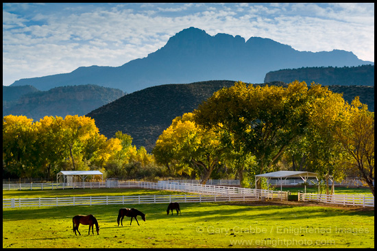 Picture: Horse Ranch Pasture, near Springdale, Utah
