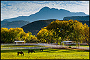 Picture: Horse Ranch Pasture, near Springdale, Utah