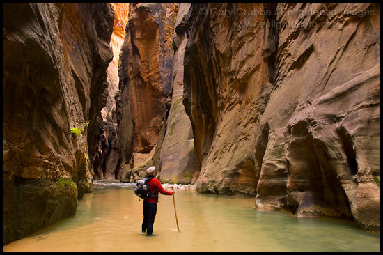 Picture: Hiker in the Virgin River Narrows, Zion National Park, Utah