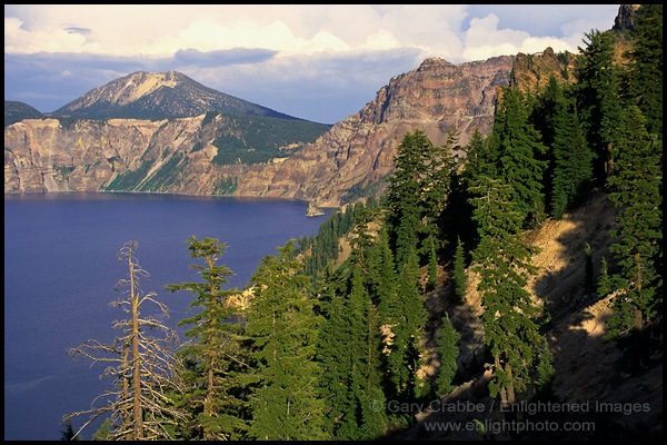 Photo: Trees on the steep sloping crater walls, Crater Lake National Park, Oregon