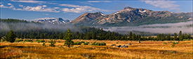 Picture: Morning mist & fog lingers over the Hope Valley, near Carson Pass, California