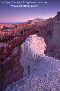 Evening light over hoodoos on the Canyon rim near Inspiration Point, Bryce Canyon National Park, Utah
