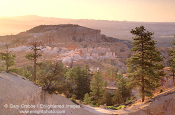 Morning light along the Queens Garden Trail, below Sunrise Point, Bryce Canyon National Park, Utah
