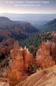 Looking down into Bryce Canyon from the rim at Sunrise Point, Bryce Canyon National Park, Utah