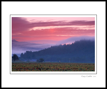 Red clouds and fog at sunrise over hill and vineyard near Oakville, Napa Valley, California; Wine Country Vineyard, pictures, photos, prints, photographs, photography, framed wall art decor images and wall murals