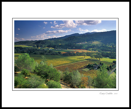 Overlooking the hills and vineyards of Napa Valley, near Calistoga, California; Wine Country Vineyard, pictures, photos, prints, photographs, photography, framed wall art decor images and wall murals