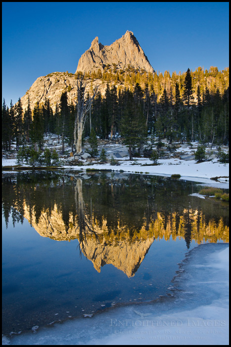 Picture: Sunset light on Cathedral Peak reflected in a snow-lined alpine tarn, Yosemite National Park, California