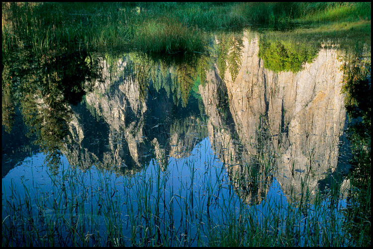 Picture:  Cathedral Rocks reflected in flooded meadow, Yosemite Valley, Yosemite National Park, California