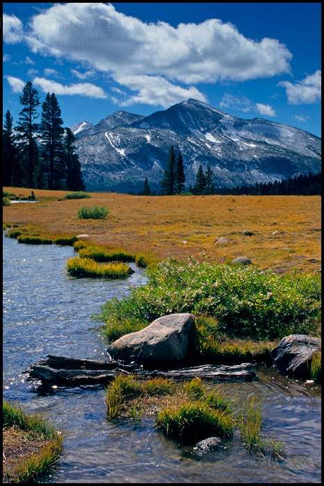 Picture: Mammoth Peak and the Kuna Crest and alpine tarn at Tioga Pass, Yosemite National Park, California