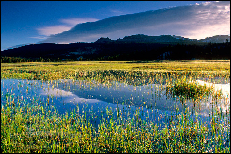 Picture: Morning light over clouds reflected in a flooded Tuolumne Meadows, Yosemite National Park, California