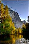 Picture: Morning light on trees along the Merced River in spring below El Capitan, Yosemite Valley, Yosemite National Park, California