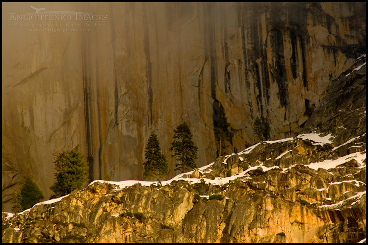 Picture: Cliff Detail trees on rocky ledge of Half Dome at sunset, Yosemite National Park, California