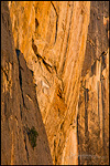 Picture: Climber haul bags dangle from rope against sheer cliff in Yosemite Valley, Yosemite National Park, California