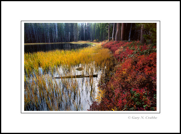 Picture: Fall colors at Siesta Lake, Yosemite National Park, California