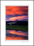 Picture: Alpenglow on lenticular cloud at sunset over Ragged Peak & Tuolumne Meadows, Yosemite National Park, California