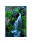 Photo: Waterfall cascade on fern lines stream in forest, Yosemite National Park, California