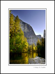 Picture: Sunrise light on trees along the Merced River below El Capitan, Yosemite Valley, Yosemite National Park, California
