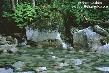 Green foliage and boulders along emerald stream, Sea-to Sky Road, near Squamish, British Columbia, Canada