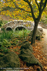 Fall colors along path near Stow Lake, Golden Gate Park, San Francisco, California