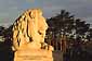 Sunrise light on lion statue, Palace of Legion of Honor, Lincoln Park, San Francisco, California