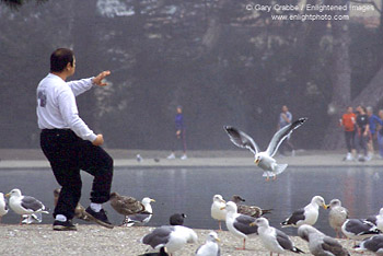 Morning workout at Sprekels Lake, Golden Gate Park, San Francisco, California